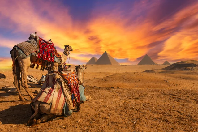 EGYPTE LE CAIRE &SHARM